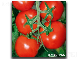 ŵ��T115-��������-�մ�ũҵ