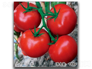 ��Ӱ��HT11140��-��������-�մ�ũҵ