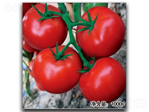 ŵ��089-��������-�մ�ũҵ