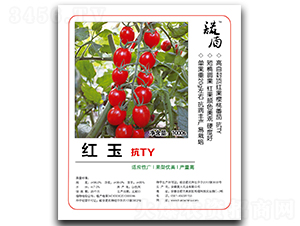 ���񣨿�TY��-��������-�մ�ũҵ