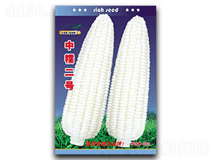 ��Ŵ����-��������-������ҵ