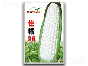 ��Ŵ26-��������-������ҵ
