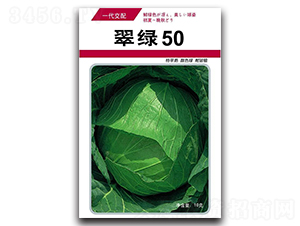 ����50-��������-������ҵ