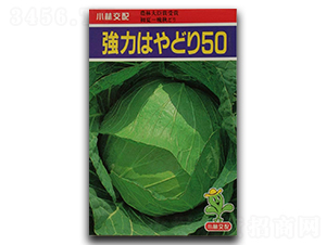 ǿ��50-��������-������ҵ