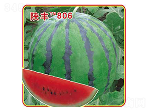 �·�806-��������-�ٷ���ҵ