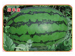 �̷ᱦ-��������-�ٷ���ҵ