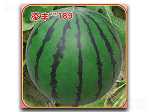 ���189-��������-�ٷ���ҵ