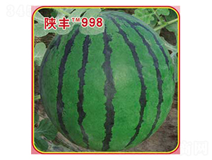 �·�998-��������-�ٷ���ҵ