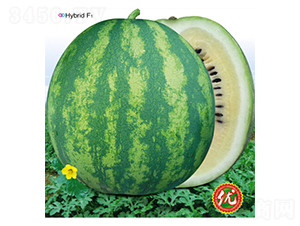 �·����1��-��������-�ٷ���ҵ