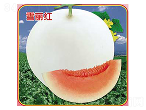 ѩ����-�������-�ٷ���ҵ