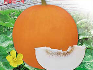�ļ���һ��-�������-�ٷ���ҵ