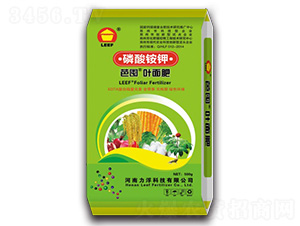 ����識�Ҷ���-�Ŷ�-�����Ƽ�