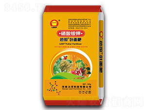 ����識�Ҷ���-�Ŷ�-�����Ƽ�