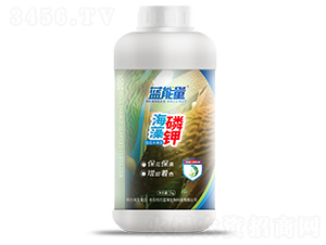 1kg�ٻ�����ͺ����׼�-������