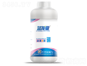 400g���塤����-������