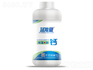 400g���塤����-������