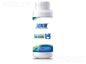 500g���塤����-������