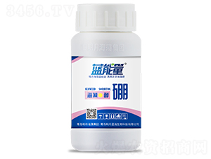 200g���塤����-������