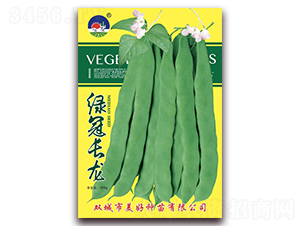 �̹ڳ���-��������-��������