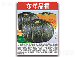 ����Ʒ��-�Ϲ�����-��������