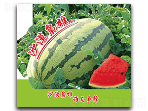 ɳĮ����-��������-��������