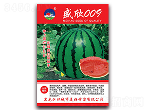 ʢ��009-��������-��������