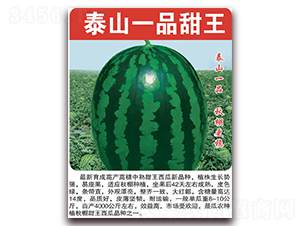 ̩ɽһƷ����-��������-��������
