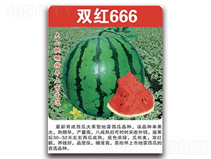 ˫��666-��������-��������