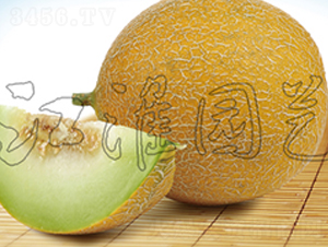 ŷ��9��-�������-����԰��