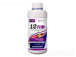 12Ԫ��-�ڻ�����