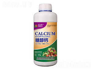 1000g�Ǵ���-�ڻ�����