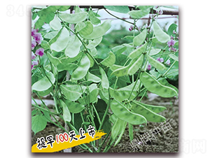 �컨1��-�ⶹ����-��������