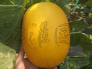 ��ͯ2��-�������-����԰��