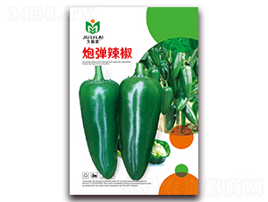 �ڵ�����-��������-������ҵ