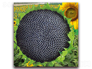 JP5639-��������-������ҵ