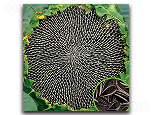 JP5638-��������-������ҵ