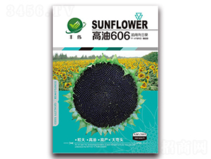 ����606-��������-������ҵ
