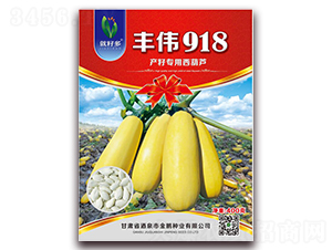��ΰ918F1-��������«����-������ҵ