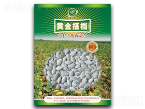 �ƽ�-��������«����-������ҵ