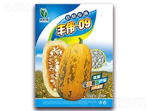 �°��ΰ09-��������«����-������ҵ
