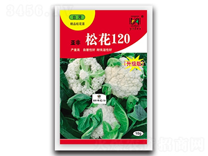 �ɻ�120-�ɻ�������-�Ƿ�