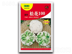 �ɻ�100-�ɻ�������-�Ƿ�