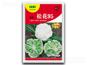 �ɻ�95-�ɻ�������-�Ƿ�