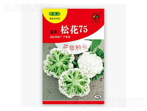 �ɻ�75-�ɻ�������-�Ƿ�