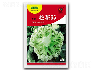 �ɻ�65-�ɻ�������-�Ƿ�