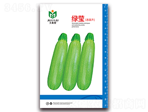 ��Ө����«-��������«����-������ҵ