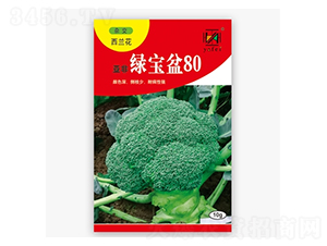 �̱���80-����������-�Ƿ�