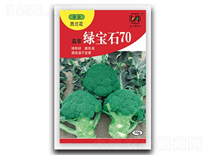 �̱�ʯ70-����������-�Ƿ�