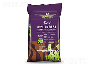 40kg΢�������-԰��Ԫ
