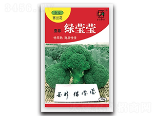 ��ӨӨ-����������-�Ƿ�